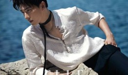 杨洋最新 爆料,揭秘明星背后的故事与成长历程