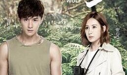 狼王子电视剧在线观看,浪漫奇幻之旅，在线观看带你领略神秘狼族世界