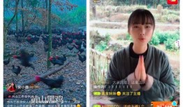 山小视频在线观看,在线观看，畅享自然之美