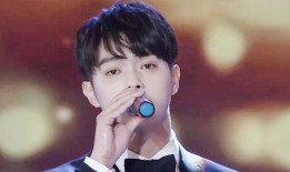 录音爆料许凯视频下载软件,揭秘热门明星幕后操作