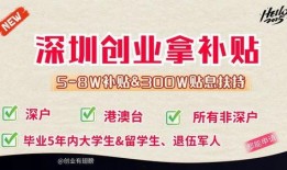 深圳创业最新爆料,揭秘前沿项目与投资热点