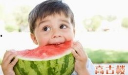 网红鸭吃瓜,趣味横生演绎网络热点