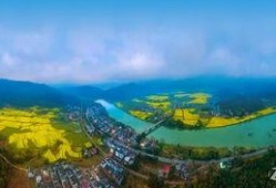 青水三月最新爆料,娱乐圈最新爆料大起底