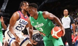 美国梦之队最新爆料,星光熠熠，实力再升级