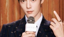 肖战王嘉尔最新爆料,揭秘娱乐圈背后的故事