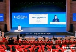 二中最近爆料新闻视频,揭秘校园热点事件背后的真相