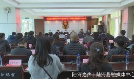 陆河新闻爆料事件最新情况,最新进展揭秘，真相逐步浮出水面