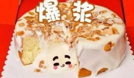 熊猫送蛋糕爆料视频,甜蜜瞬间背后的温馨故事