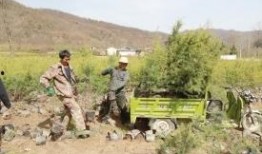 在线观看黑松镇,探寻神秘古村落的奇幻之旅