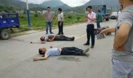 陆河新闻爆料事件最新情况,最新进展揭秘，真相逐步浮出水面