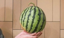 全网吃瓜免费,免费盛宴等你来享