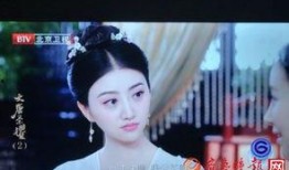 《大唐荣耀》在线观看,宫廷权谋与家国情怀的史诗画卷