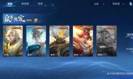 视频皮肤爆料怎么弄的好看,打造惊艳视觉效果的秘籍解析