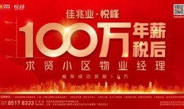 石家庄头条最新爆料,揭秘重大事件背后真相