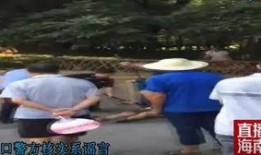 遂川爆料哥杀人视频,真相与反思