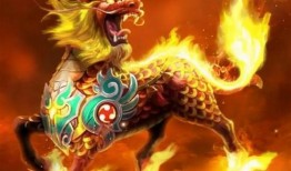 野生麒麟爆料视频,野生麒麟神秘视频曝光，带你探寻神秘生物之谜