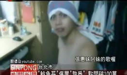 韩国鲶鱼爆料视频大全集,揭秘娱乐圈幕后真相