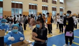 临城爆料最新消息视频,最新视频揭露惊人内幕