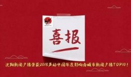 沈阳新闻广播爆料,重大事件引发社会关注