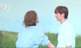 狼王子电视剧在线观看,浪漫奇幻之旅，在线观看带你领略神秘狼族世界