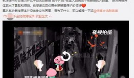 独家爆料粉丝p图视频,独家爆料视频引热议