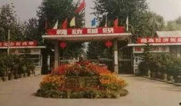 石家庄棉五最新爆料,揭秘项目进展与未来规划