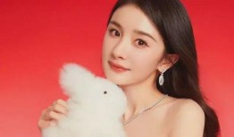 杨幂爆料娱乐圈,揭秘明星幕后真相