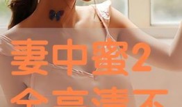 妻中蜜视频在线观看,一场激情四溢的视觉盛宴