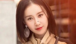 舒畅足球爆料视频大全,揭秘精彩瞬间与幕后故事