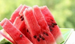 网红鸭吃瓜,趣味横生演绎网络热点