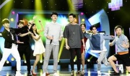 国内综艺在线观看,解锁国内综艺新潮流