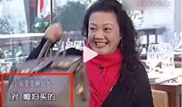 陕西儿媳妇爆料视频播放,揭秘婆媳关系的真实面貌