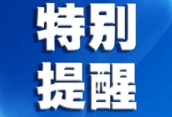深圳爆料最新新闻消息视频,视频揭示城市动态与热点事件