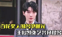 张译王俊凯爆料视频大全,揭秘幕后故事与精彩瞬间