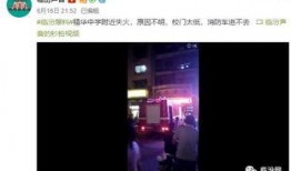 橙色原石爆料视频播放,视频爆料背后的神秘力量