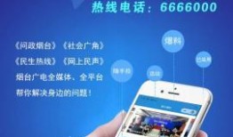 搜索爆料小视频,揭秘网络爆火小视频背后的秘密与现象