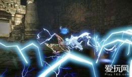 野生麒麟爆料视频,野生麒麟神秘视频曝光，带你探寻神秘生物之谜