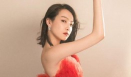 宋茜最新爆料,娱乐圈背后的真实故事