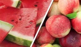 网红鸭吃瓜,趣味横生演绎网络热点