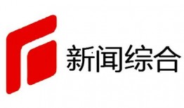 石家庄电视台爆料新闻,最新民生焦点事件追踪