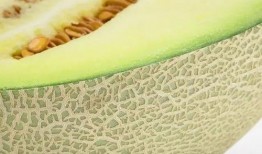 全网吃瓜免费,免费盛宴等你来享