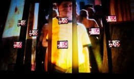 在线观看s极,揭秘神秘北极的奇幻之旅