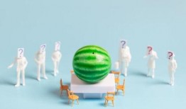 娱乐吃瓜爆料合集,揭秘明星幕后故事与精彩瞬间