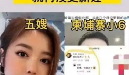 缅北网红爆料五嫂视频,缅北网红爆料背后的真相