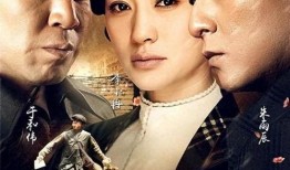 电视剧追击者在线观看,生死较量，正义终将到来