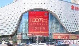 石家庄头条最新爆料,揭秘重大事件背后真相