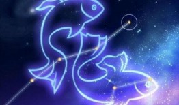 双鱼座最新爆料,揭秘星座背后的神秘力量