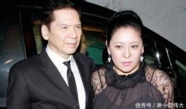 明星大爆料陈岚视频,明星大爆料背后的惊人真相