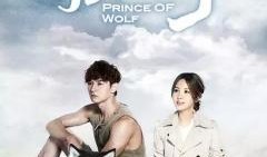 狼王子电视剧在线观看,浪漫奇幻之旅，在线观看带你领略神秘狼族世界
