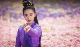 刘诗诗的替身爆料视频,揭秘幕后的真实故事